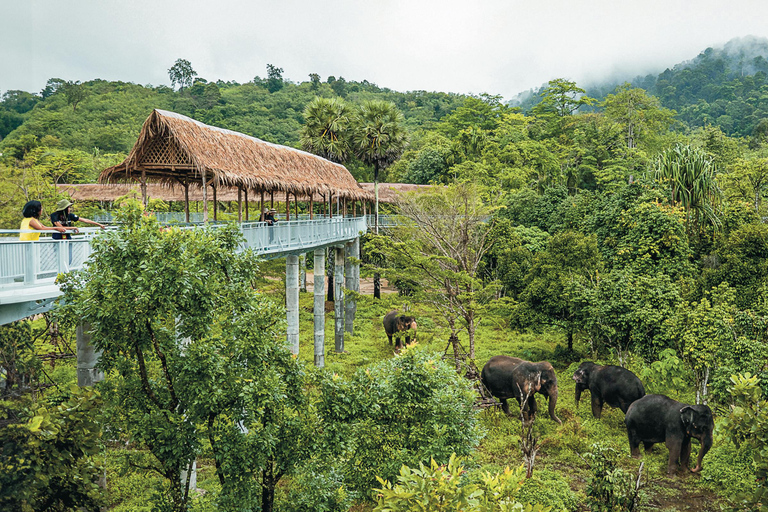 Olifantenopvang Phuket: Canopy Walkway TourMiddag canopy wandeling met hotel gedeelde transfers