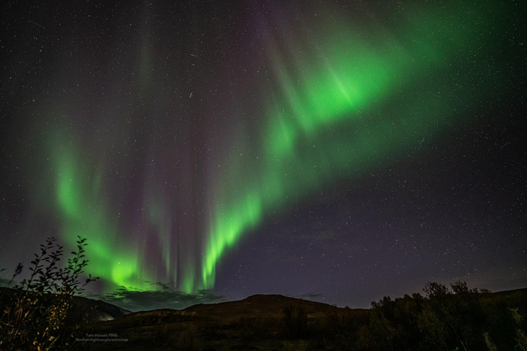 Tromsø:Northern Lights Tour with Photo and Suits.Local Guide Tromsø: Northern Lights Tour with Photos and Warm Suits