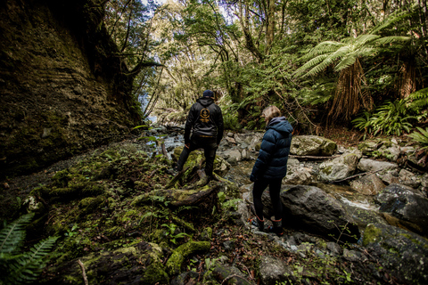 South Fiord, Fiordland: Waterfall Adventure