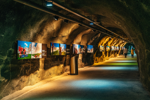 From Zurich: Guided Day Trip to Jungfraujoch with Train Ride