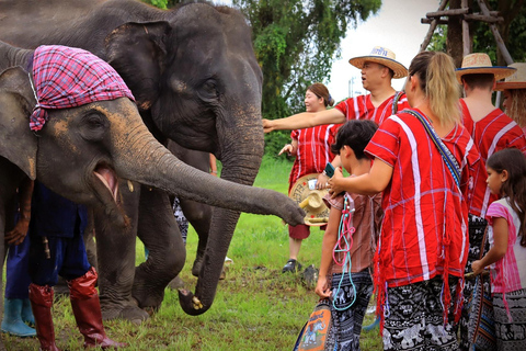 Parc des éléphants de Bangkok : expérience avec les éléphants en HD (sans transfert)HD Bangkok Elephant Care sans transfert