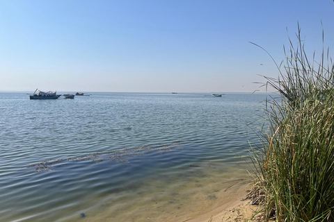 From Cairo: 4x4 Desert Safari, Waterfalls & Magic Lake Shared Tour: Wadi El Rayan, Magic Lake & Lake Qarun, Jeep