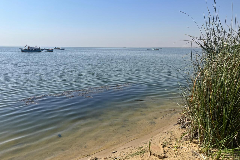 From Cairo: 4x4 Desert Safari, Waterfalls & Magic Lake Shared Tour: Wadi El Rayan, Magic Lake & Lake Qarun, Jeep
