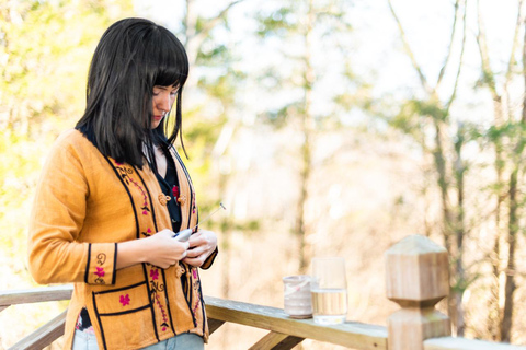 Minoo Park Adventure: Nature, Temples, and Coffee Bliss French guided tour