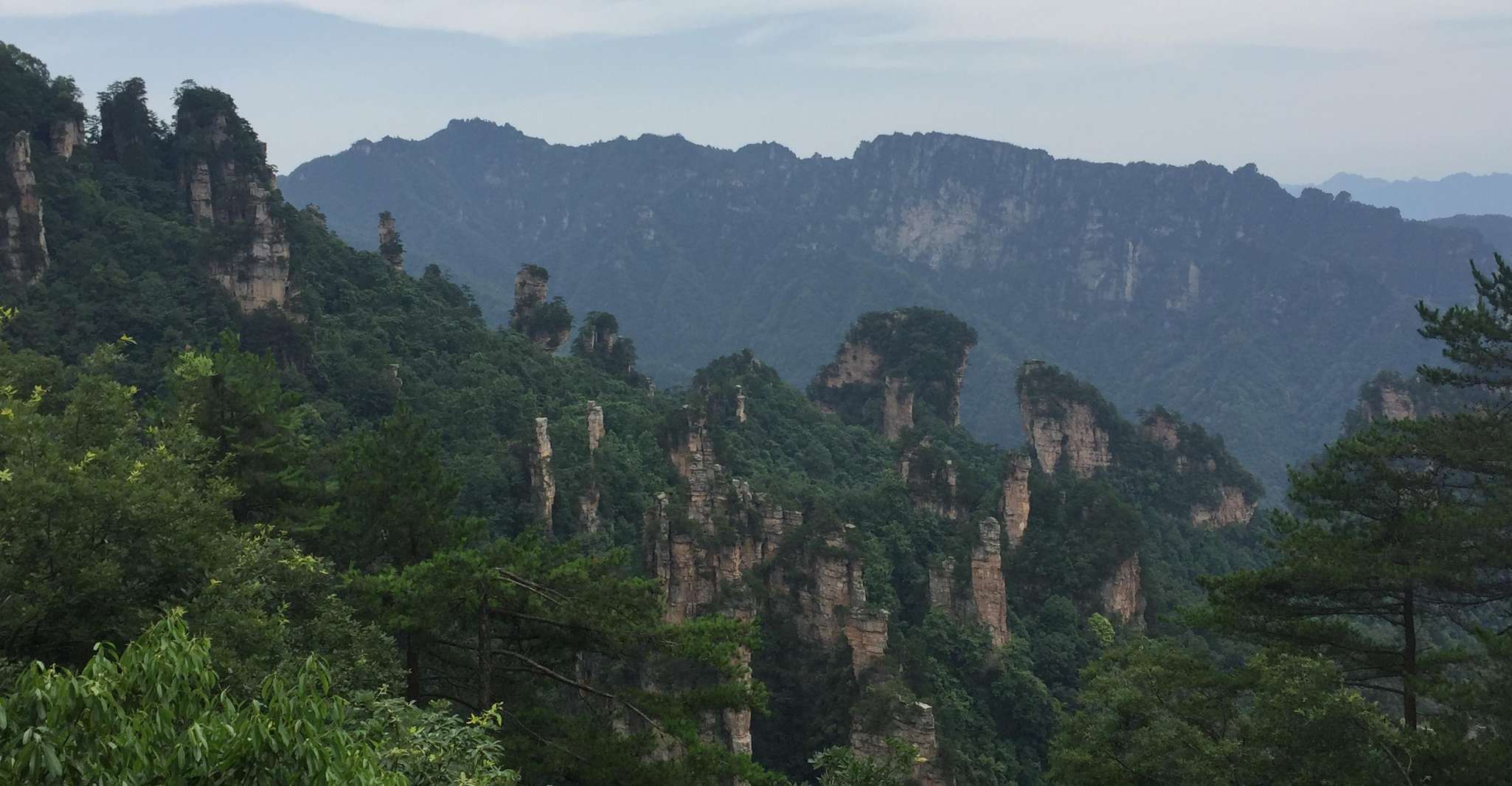 One Day Zhangjiajie National Forest Park Package Tour - Housity