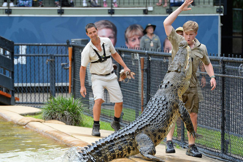 从布里斯班出发：澳大利亚动物园门票和往返接送