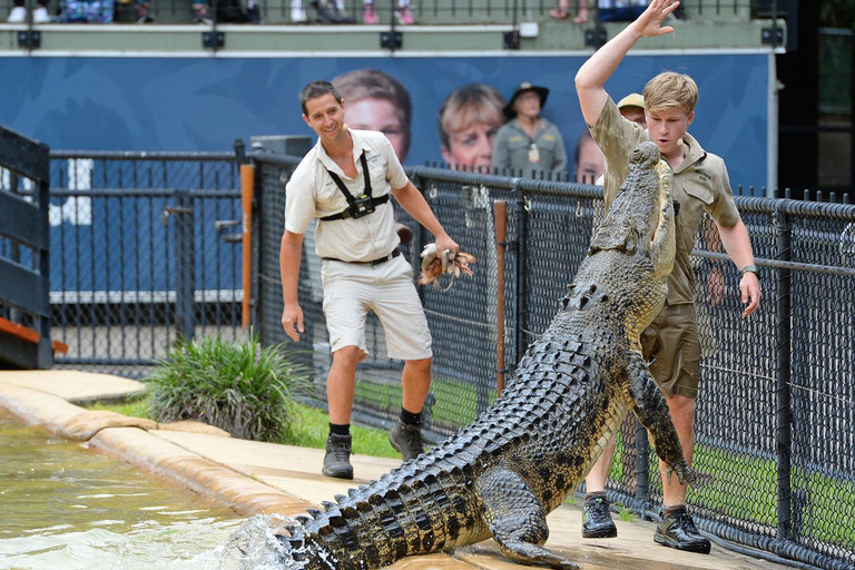 从布里斯班出发：澳大利亚动物园门票和往返接送