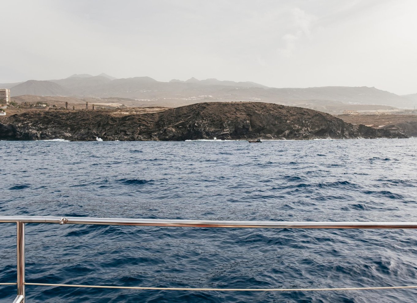 Costa Adeje: Økokrydstogt med hvaler og delfiner med snacks og drikkevarer