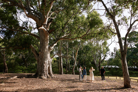 Adelaide: Guided Warriparinga Cultural and Historical Tour