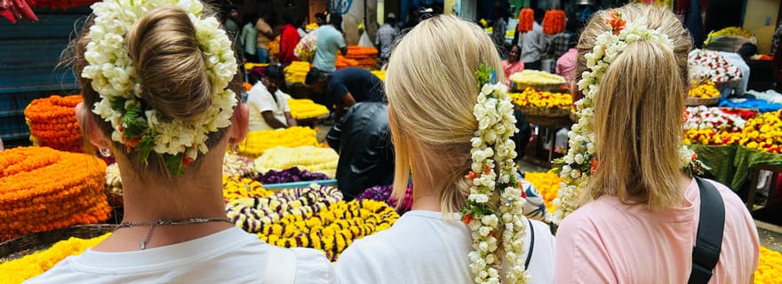 Marchez sur les traces des maharajas et des sultans