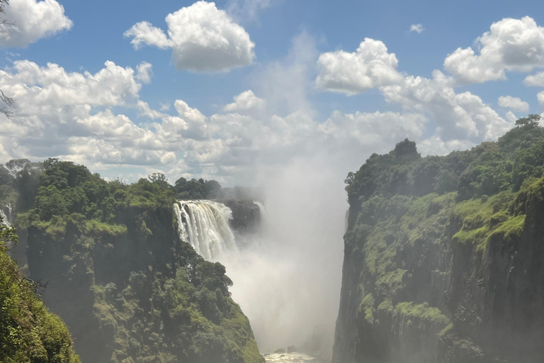 Victoria Falls: Guided Tour with Rainforest Walk