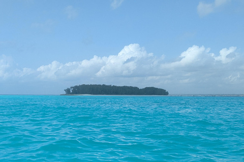 Zanzibar: Chumbe Island Coral Park Day Trip with LunchGrave Island in front of Stone Town