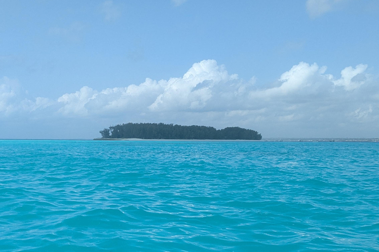 Zanzibar: Chumbe Island Coral Park Day Trip with LunchGrave Island in front of Stone Town