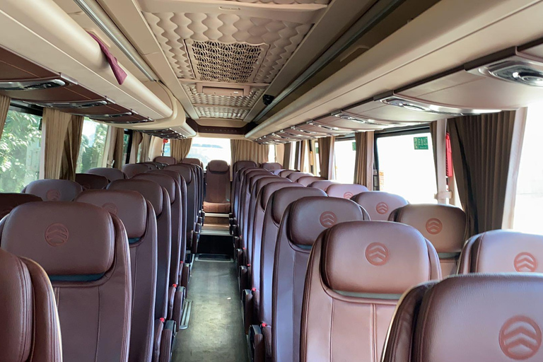 Pechino:Tour in autobus della Grande Muraglia di Badaling-8AM/9AM/10AM 【Busda】Tour notturno in autobus di Badaling con biglietto