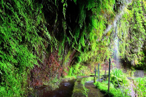 Madera: piesza wycieczka po Levadzie do Rei/Ribeiro BonitoMadera: wycieczka piesza - Levada do Rei/Ribeiro Bonito