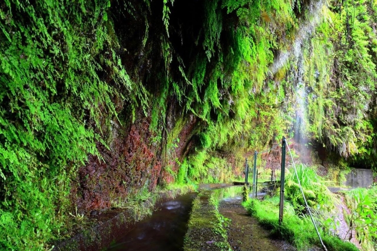 Madeira: Wandertour Levada do Rei/Ribeiro BonitoMadeira: Wandertour - Levada do Rei/Ribeiro Bonito