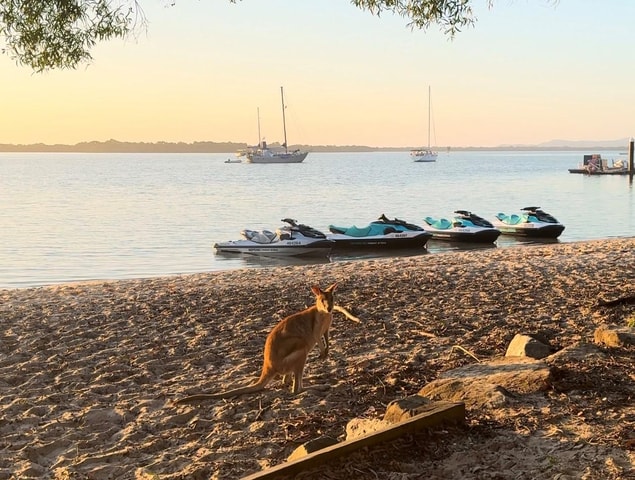 From Gold Coast: South Stradbroke Island Jetski Tour