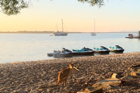 Von der Goldküste aus: South Stradbroke Island Jetski Tour