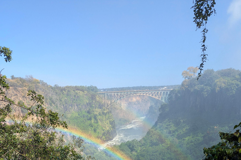 Livingstone: Victoria Falls Cross-Border Experience