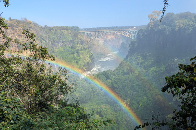 Livingstone: Victoria Falls Cross-Border Experience