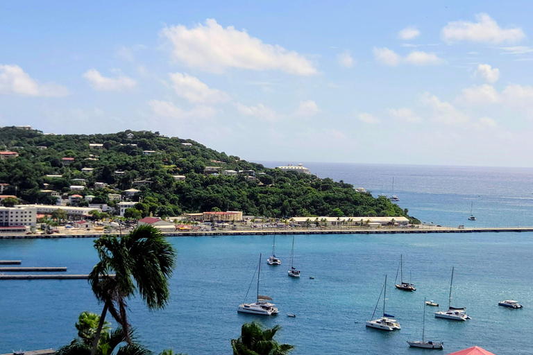 St. Thomas: Customizable Half-Day Tour with Snorkeling