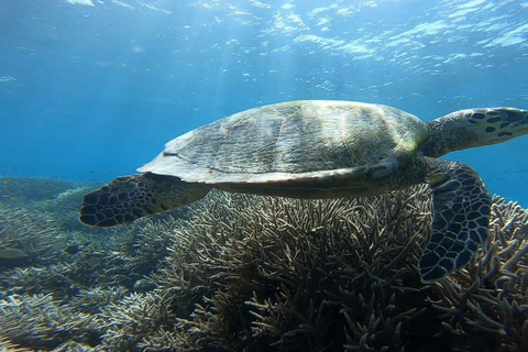 Private Snorkeling in Gili Trawangan, meno & air with goopro Option 1:Private Snorkeling in Gili T,meno & air with goopro