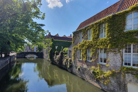 Bruges in bicicletta con la famiglia e gli amici!