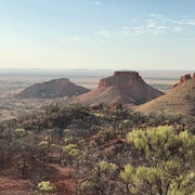 Winton: Dinosaur Stampede and Carisbrooke Station Day Tour