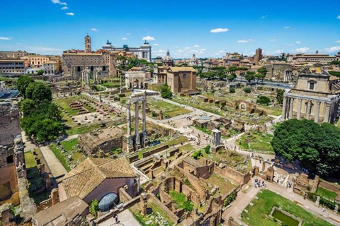 Rome: Colosseum, Roman forum & palatine hill private tour Colosseum , Roman forum & palatine hill private tour