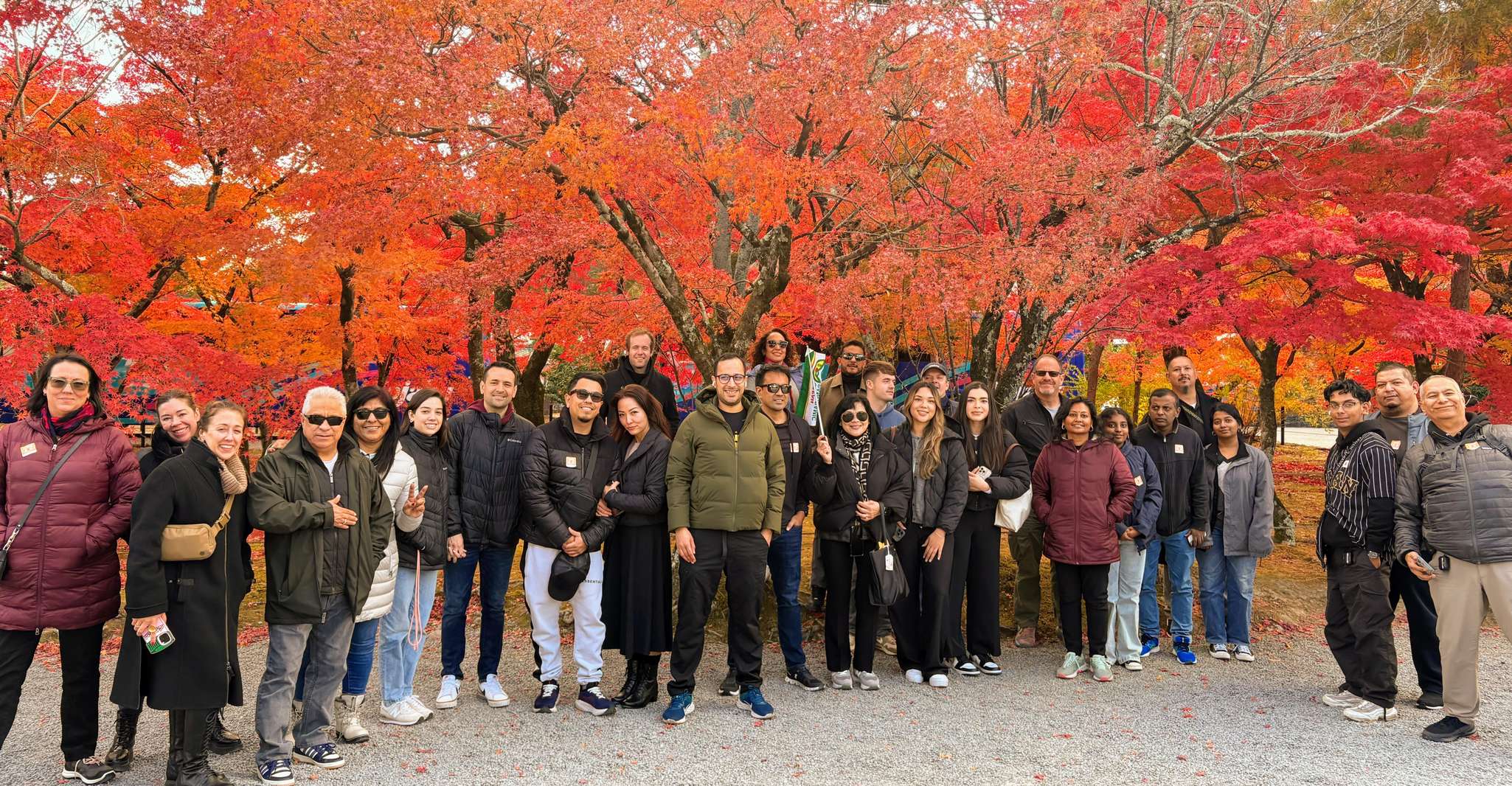Kyoto: Fushimi Inari, Kinkakuji, Bamboo Grove 1 Day Bus Tour photo 10