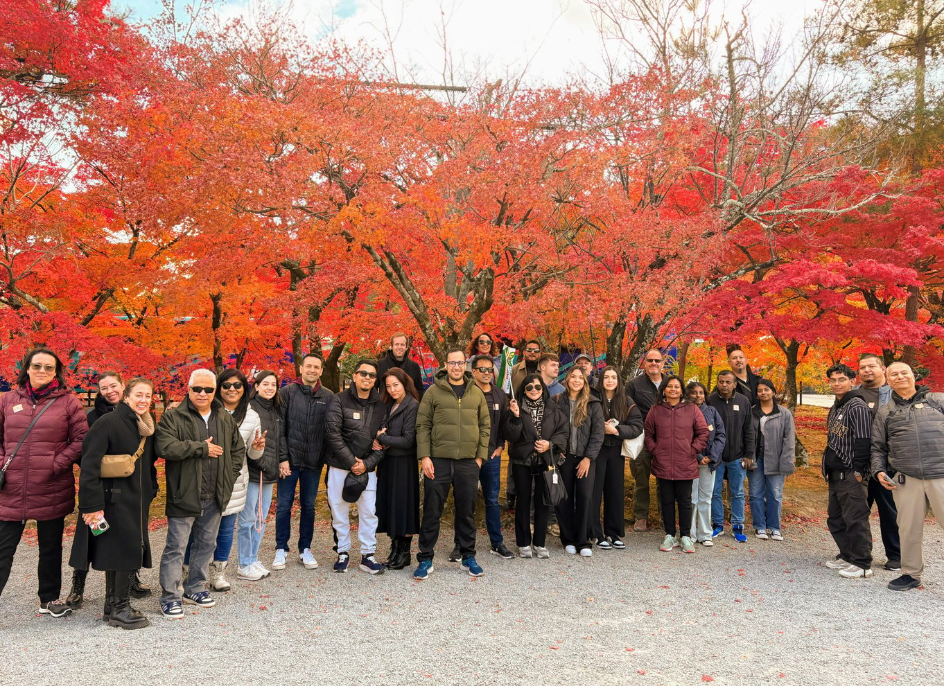 Kyoto: Heldagstur med de bedste UNESCO- og historiske steder