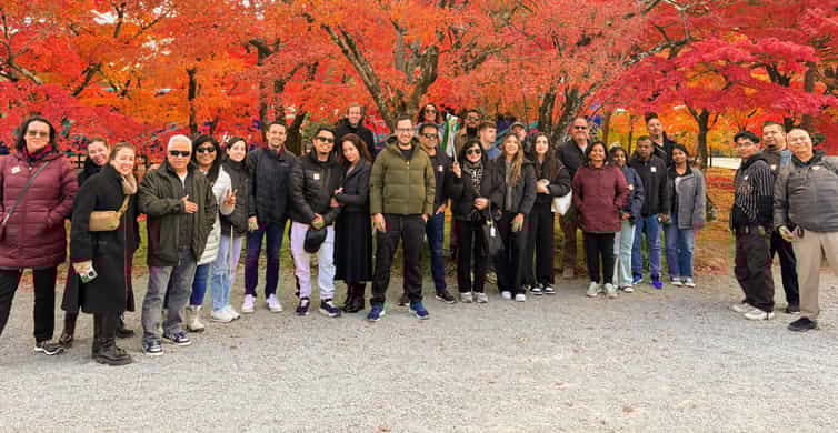Kyoto: Fushimi Inari, Kinkakuji, Bamboo Grove 1 Day Bus Tour photo 10