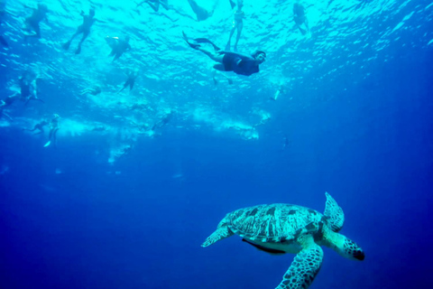 Lombok: Private Snorkeling,Gili Trawangan,Gili Meno,Gili Air Start From: Tetebatu/Lembar Port/Gili Mas Port