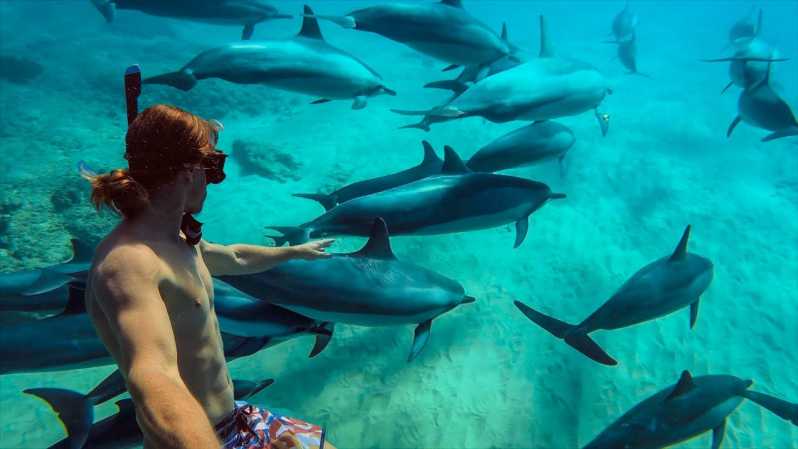 Nungwi: African Maldives Day Tour with Lunch