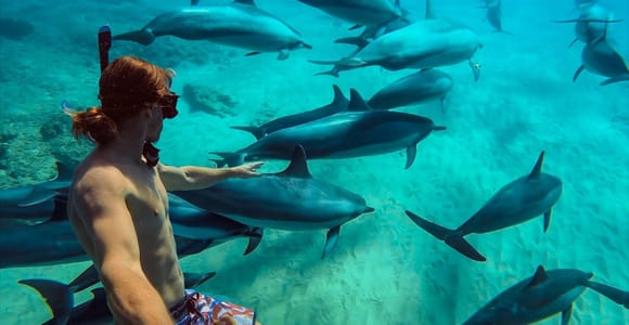 Mnemba: African Maldives Day Tour with Optional Lunch