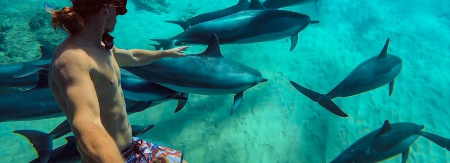 Mnemba : visite d'une journée des Maldives africaines avec déjeuner facultatif