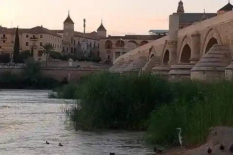 Córdoba: Tour of the three cultures to see the city in a day