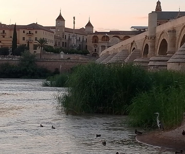 Córdoba: Tour of the three cultures to see the city in a day