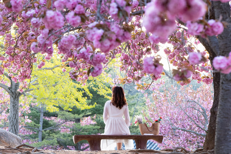 Busan: Gyeongju UNESCO Highlights 6 Hours Express Tour Shared Tour, Meet at Haeundae Station