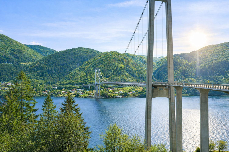 Bergen: Osterøy E-Bike Tour, Fjord Safari & Lunch