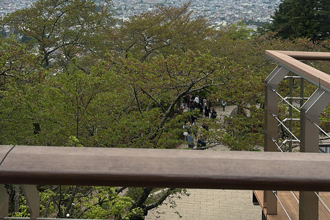 From Tokyo: Mount Fuji Full Day Customizable Private Tour LUXURY LAND CRUISER