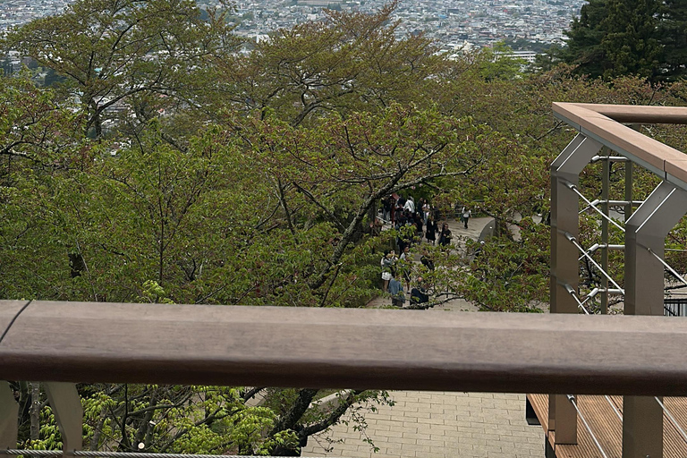 From Tokyo: Mount Fuji Full Day Customizable Private Tour LUXURY LAND CRUISER