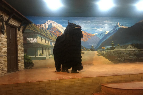 Kathmandu: Nepali Cultural Dinner & Traditional Dance Show