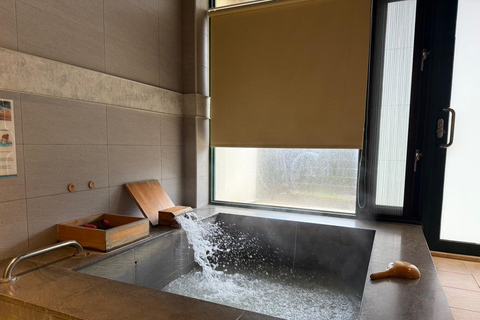 Taipei: tour guidato di Yangmingshan, Museo del Palazzo e Raohe