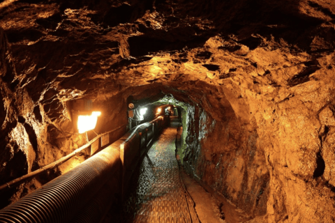 Excursión al 2º túnel de la DMZ y al puente colgante en forma de Y desde Seúl