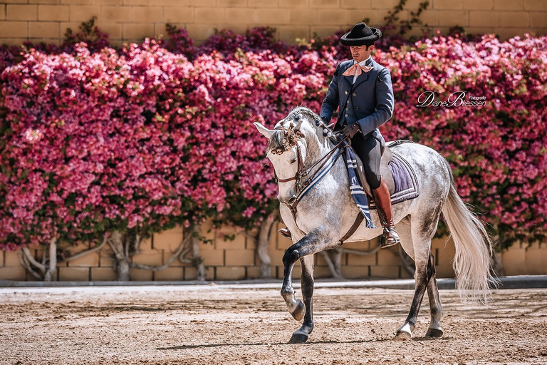 Jerez : visite de la Yeguada de la Cartuja (chevaux chartreux)Découverte des chevaux Chartreux à la Yeguada de la Cartuja