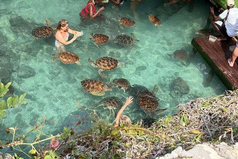 Zanzibar: Las Jozani, Jaskinia Salaam i restauracja RockLas Jozani, jaskinia Salaam i restauracja The Rock. Bez transportu.