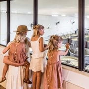 The Sunshine Coast: The Ginger Factory Tour & Tasting