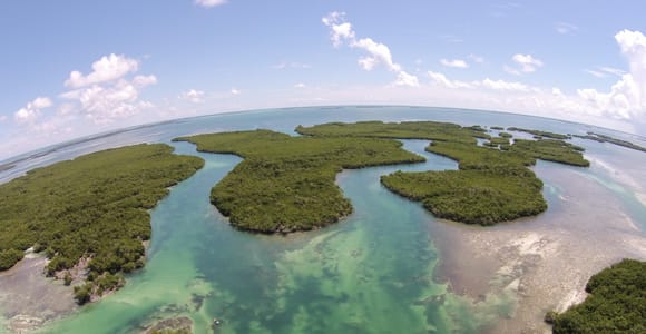 Key West Helicopter Eco Tour - Private Flight