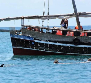 Observación de delfines en Mombasa